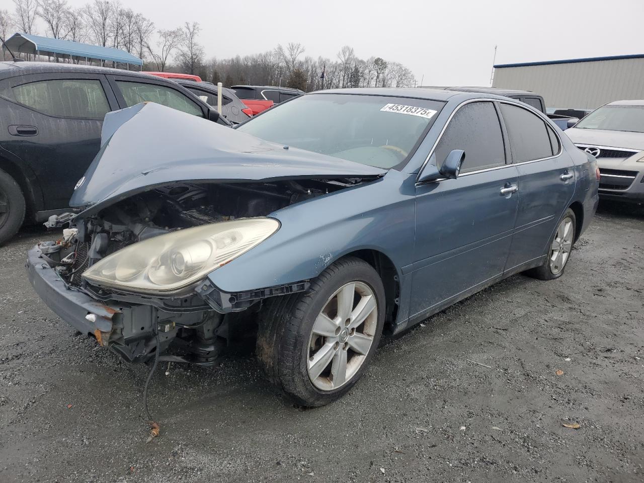 LEXUS ES330 2005. Lot# 45318375. VIN JTHBA30G055085077. Photo 1