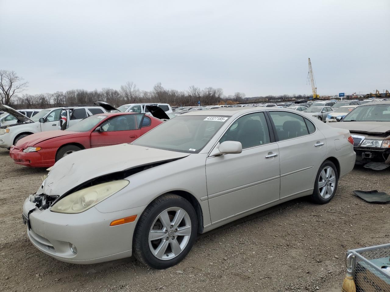 LEXUS ES330 2005. Lot# 43327185. VIN JTHBA30G155128373. Photo 1