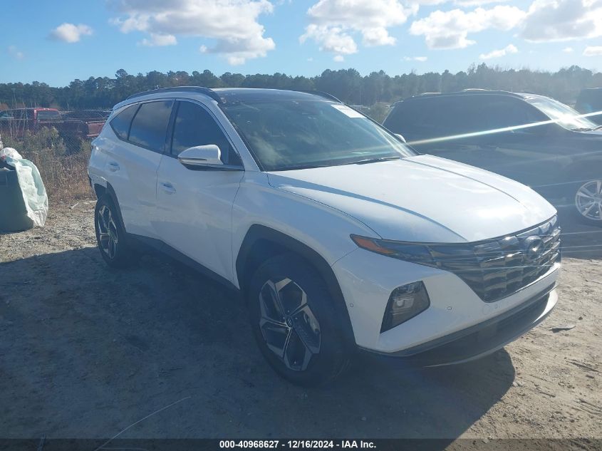 VIN: KM8JECD14RU186900 | HYUNDAI TUCSON HYBRID 2024 car history - Stat.vin